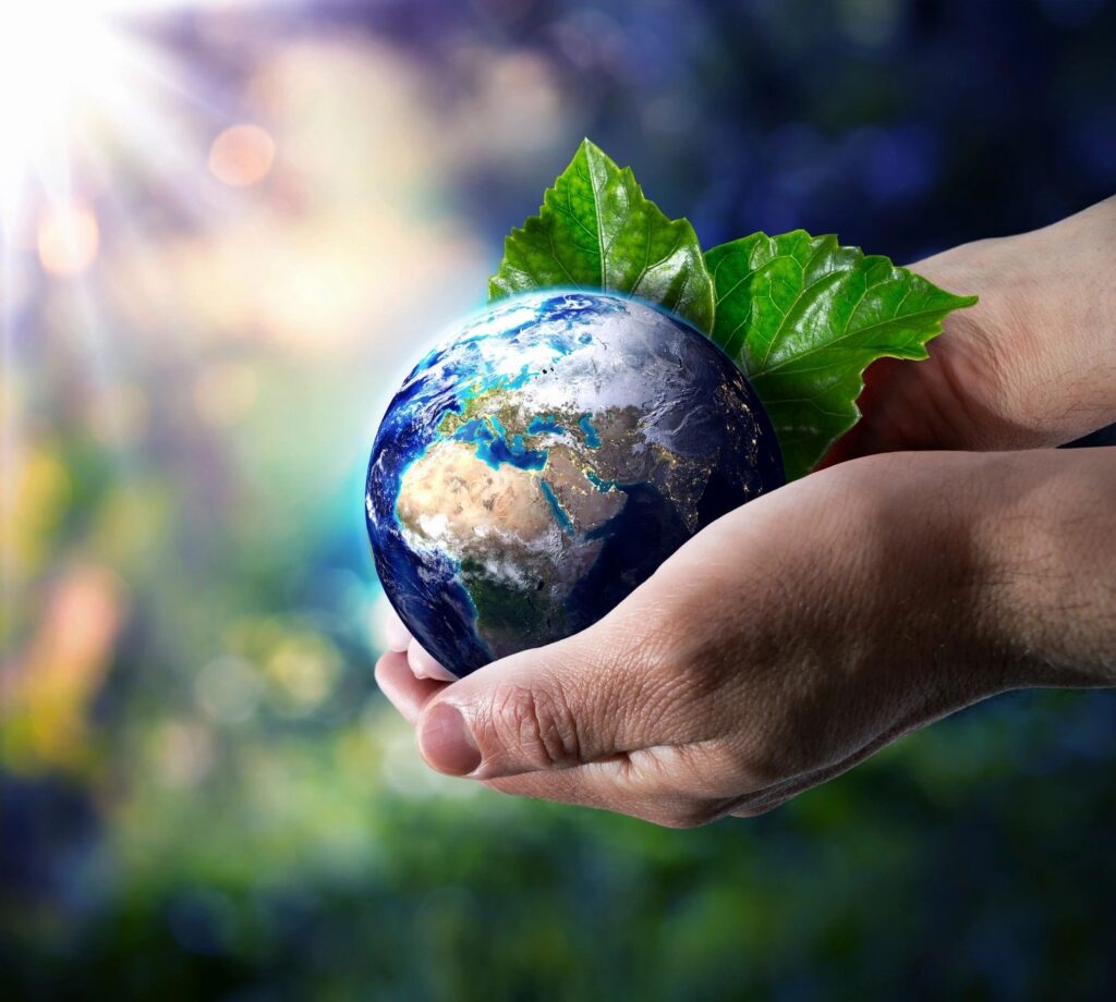 Hands gently holding a small Earth with green leaves symbolizing nature.